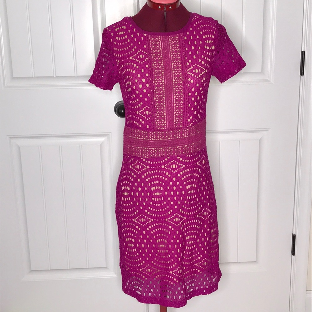 A.B.S Dress Sz 6 NWT